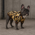 Pupsace Designer College Jacke