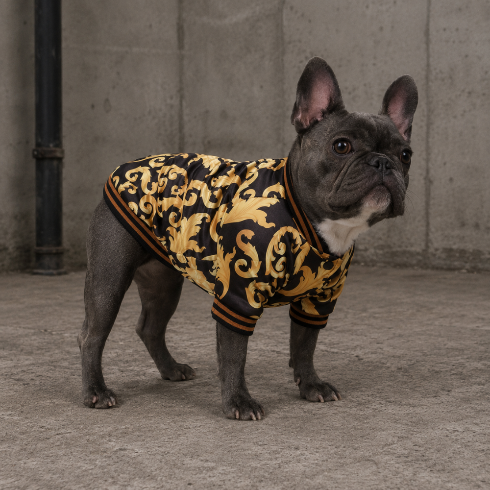Pupsace Designer College Jacke