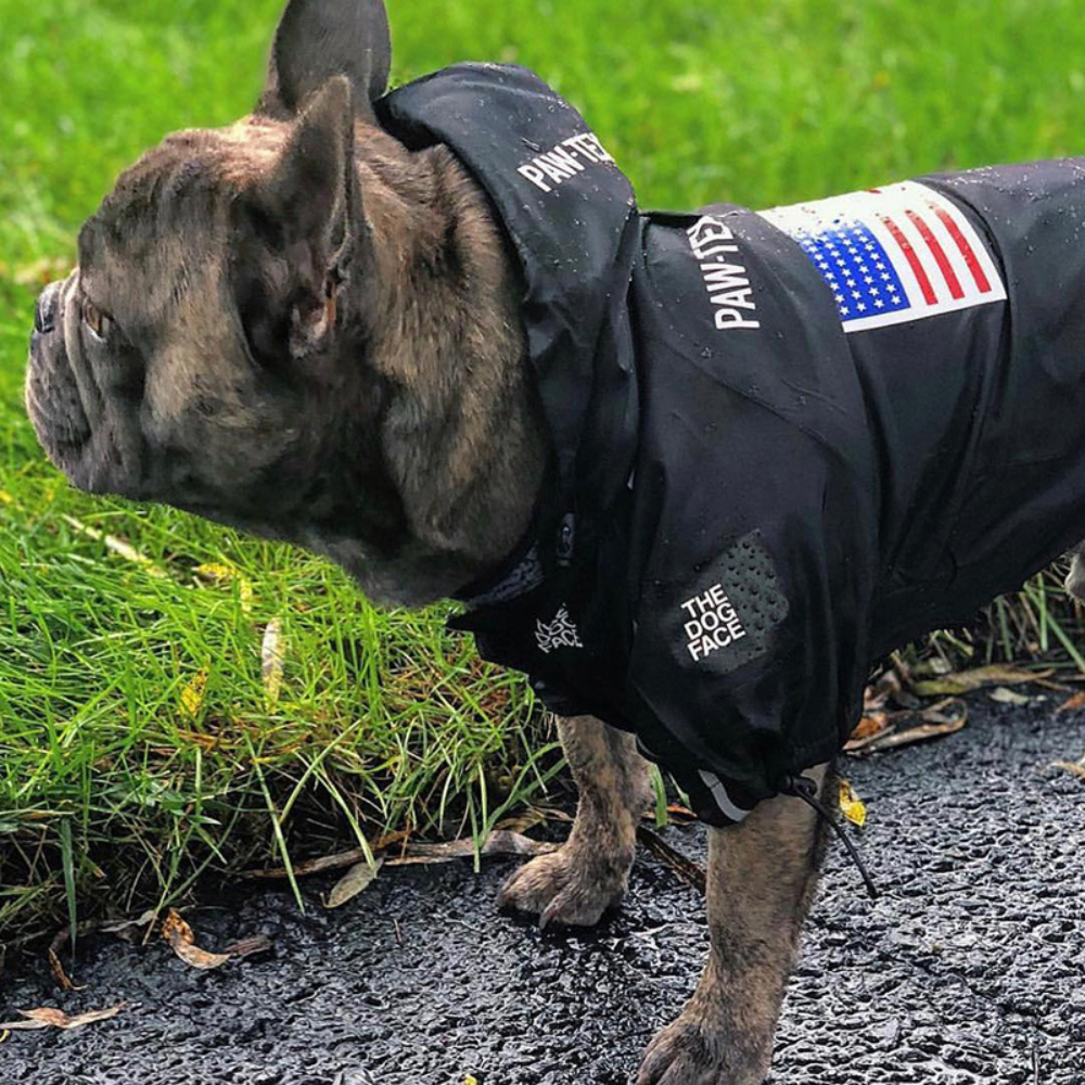 The Dog Face Regenjacke Schwarz