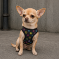 Designer Hundegeschirr mit Leine Schwarz