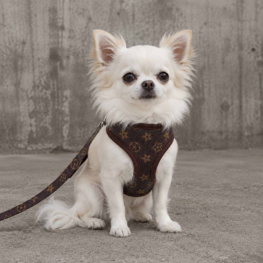 Designer Hundegeschirr mit Leine Braun
