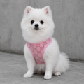 Pinkes Designer Hundegeschirr mit Leine