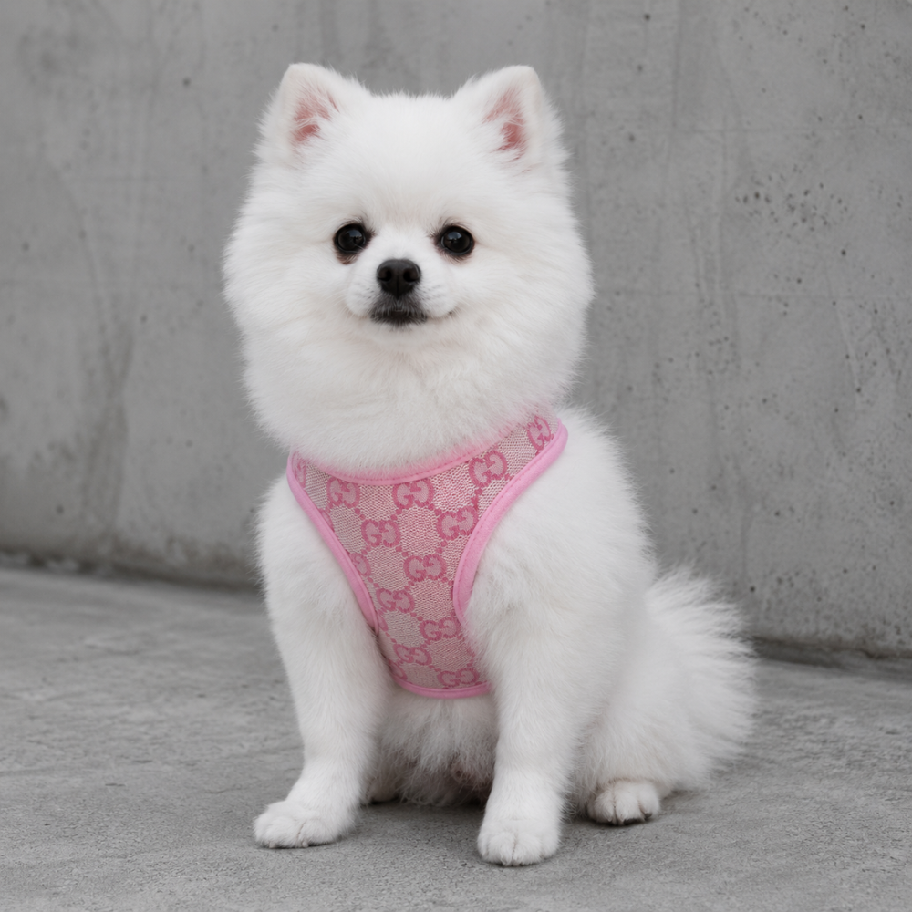 Pinkes Designer Hundegeschirr mit Leine