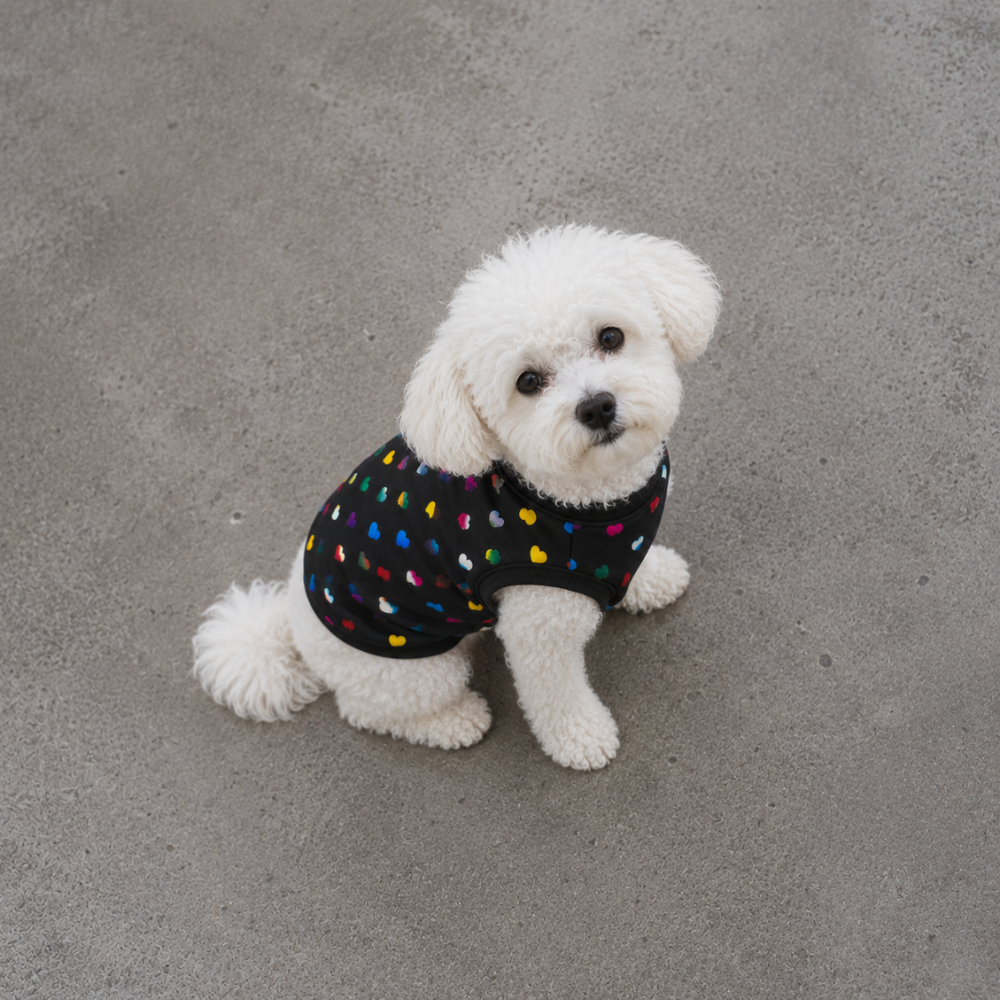 Hearts Sweater