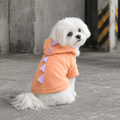 Hoodie Dinosaurier Rosa