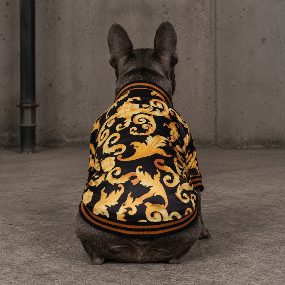Pupsace Designer College Jacke