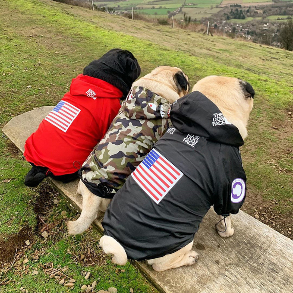 The Dog Face Regenjacke Schwarz