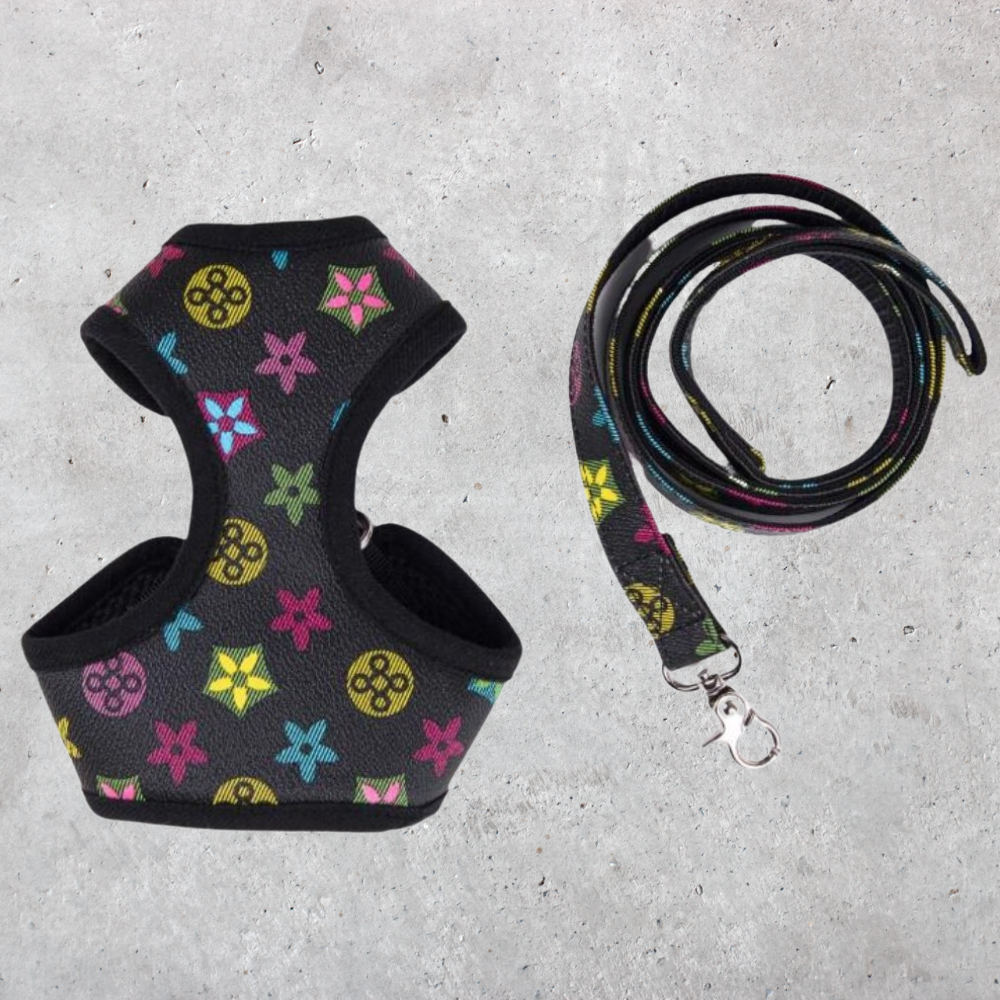 Designer Hundegeschirr mit Leine Schwarz