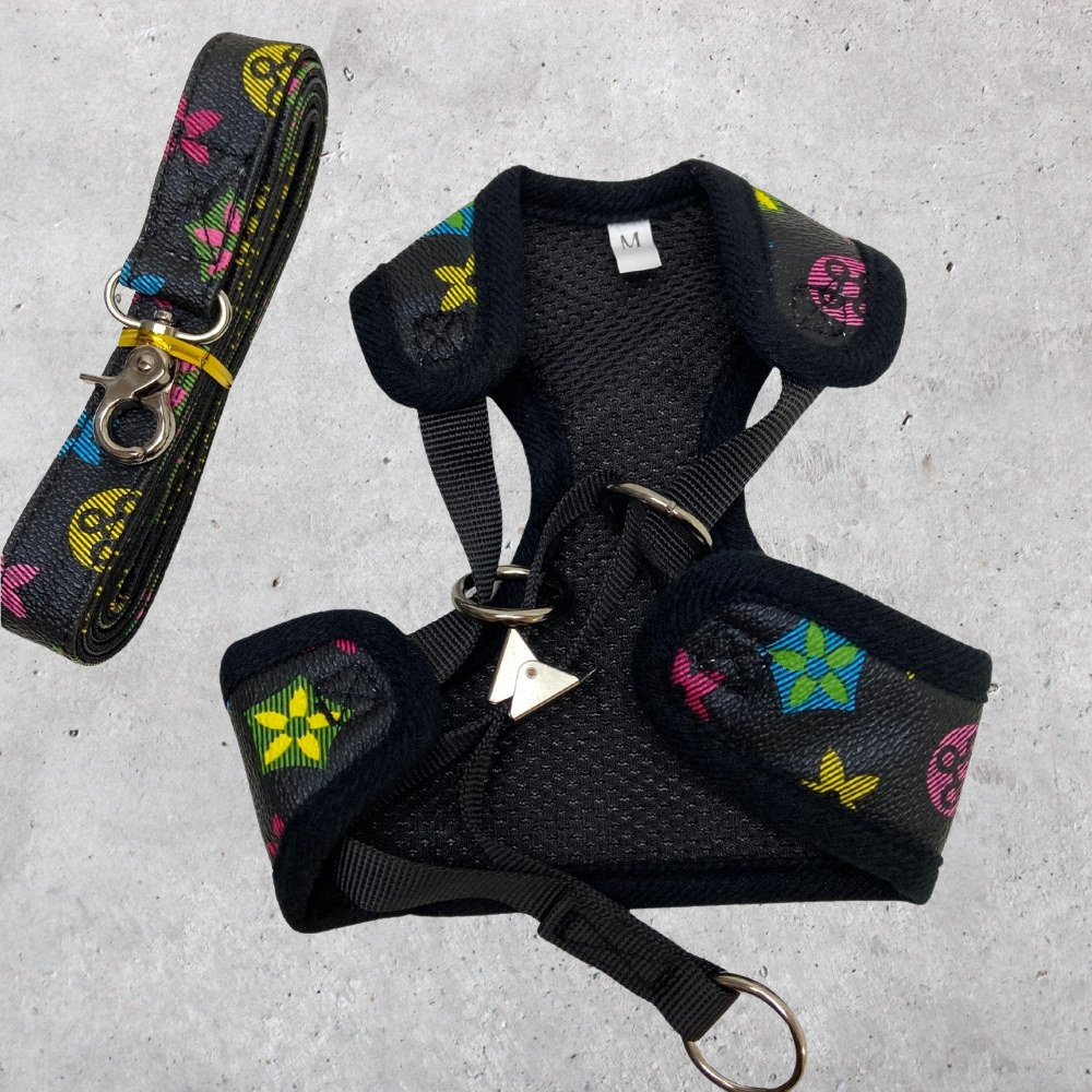 Designer Hundegeschirr mit Leine Schwarz