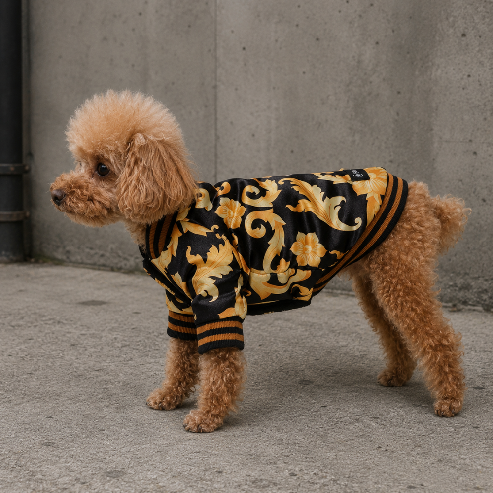 Pupsace Designer College Jacke